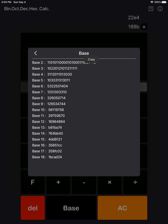 Bin_Oct_Dec_Hex_Calculator iPadOS App Screenshot 5