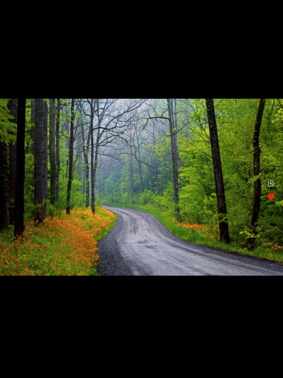 Dash_Cam_Plus iPadOS App Screenshot 10