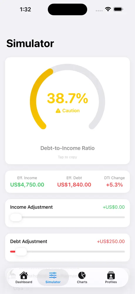 Debt_2_Income_Calculator iOS App Screenshot 4
