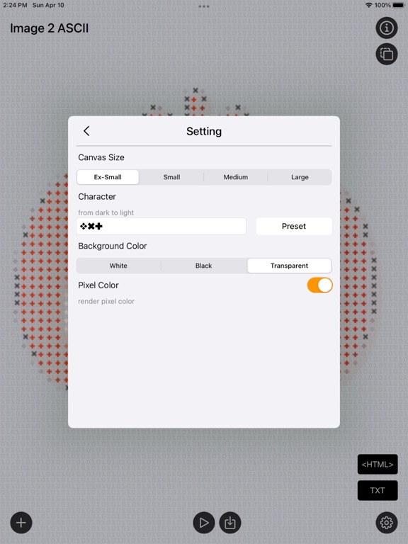 Image_2_ASCII_Art iPadOS App Screenshot 3