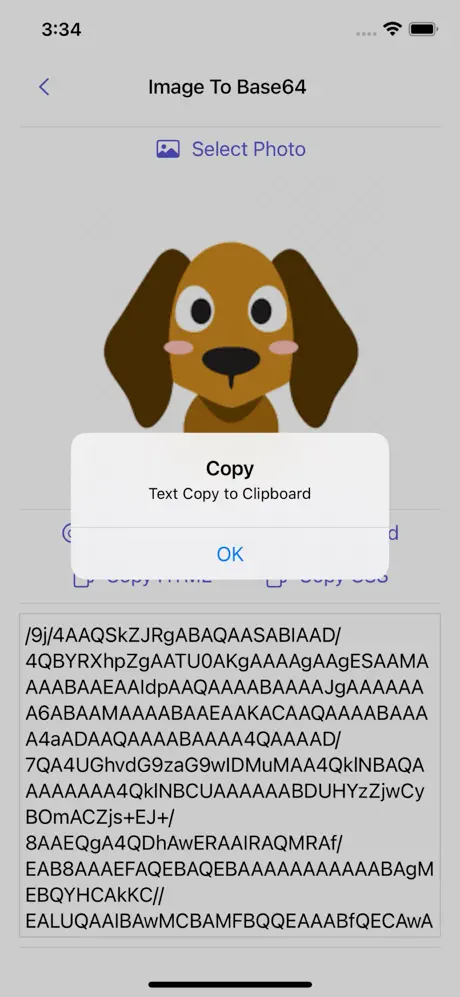 Image_to_Base64_Plus iOS App Screenshot 6