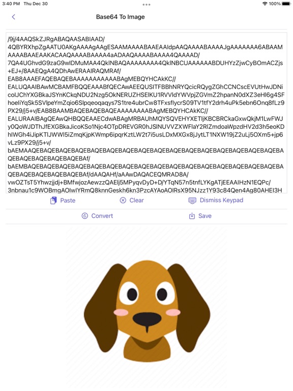Image_to_Base64_Plus iPadOS App Screenshot 3