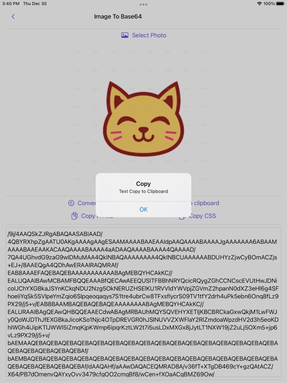 Image_to_Base64_Plus iPadOS App Screenshot 6