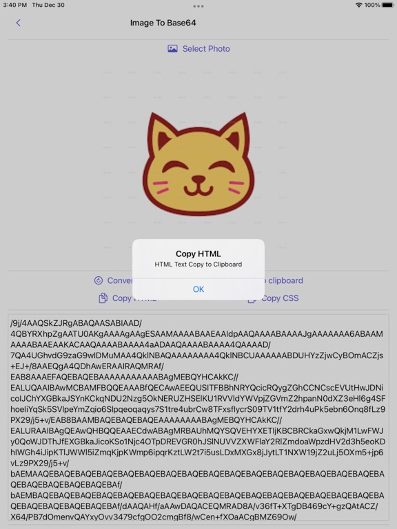 Image_to_Base64_Plus iPadOS App Screenshot 7