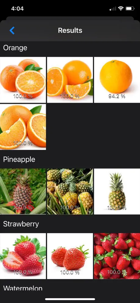 Images_Classifier iOS App Screenshot 2