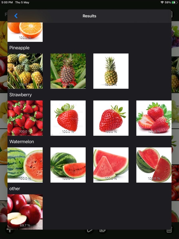 Images_Classifier iPadOS App Screenshot 9