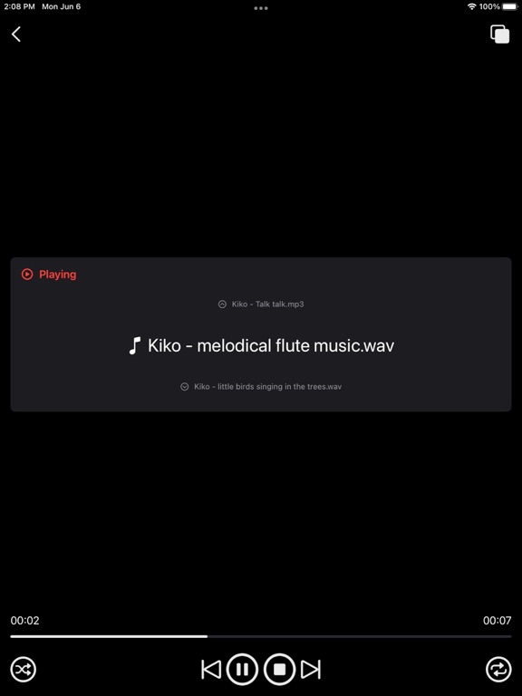 Media_Player_Plus iPadOS App Screenshot 1