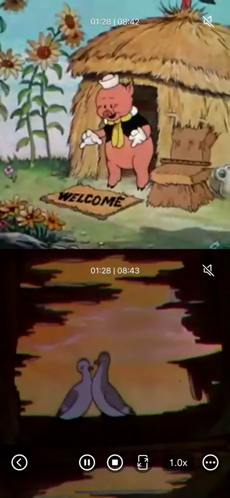 Multi_Video_Player_Plus iOS App Screenshot 2
