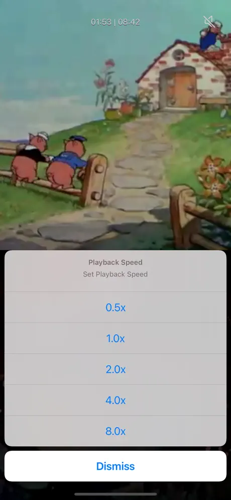 Multi_Video_Player_Plus iOS App Screenshot 3