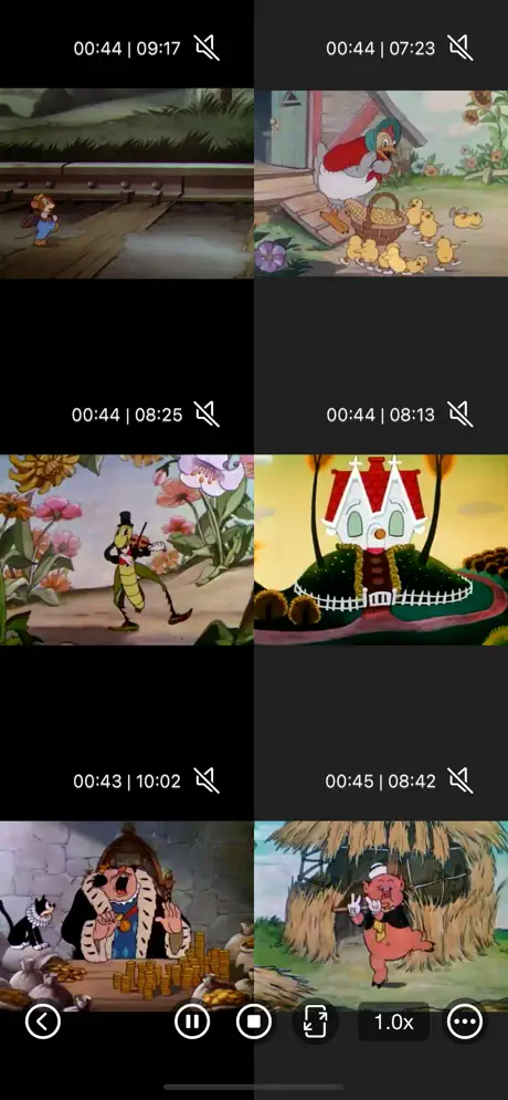Multi_Video_Player_Plus iOS App Screenshot 4