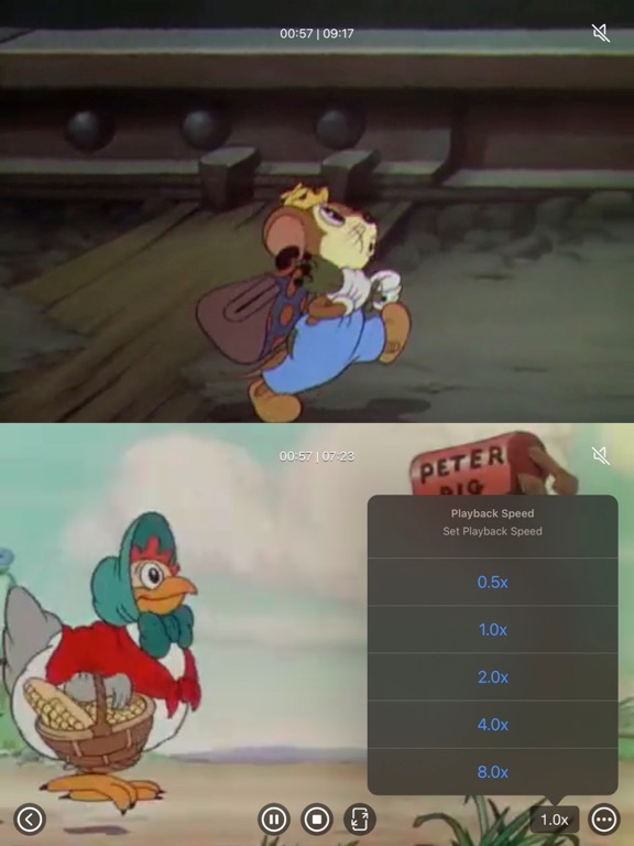 Multi_Video_Player_Plus iPadOS App Screenshot 3