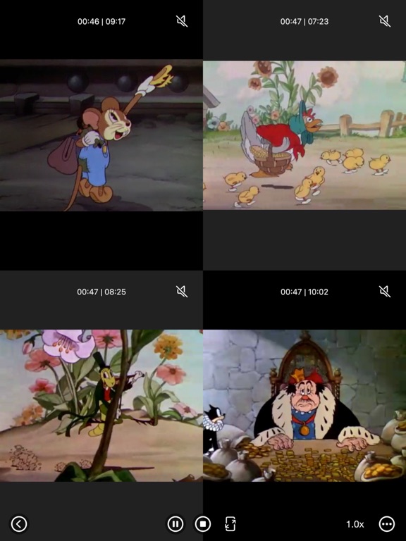 Multi_Video_Player_Plus iPadOS App Screenshot 4