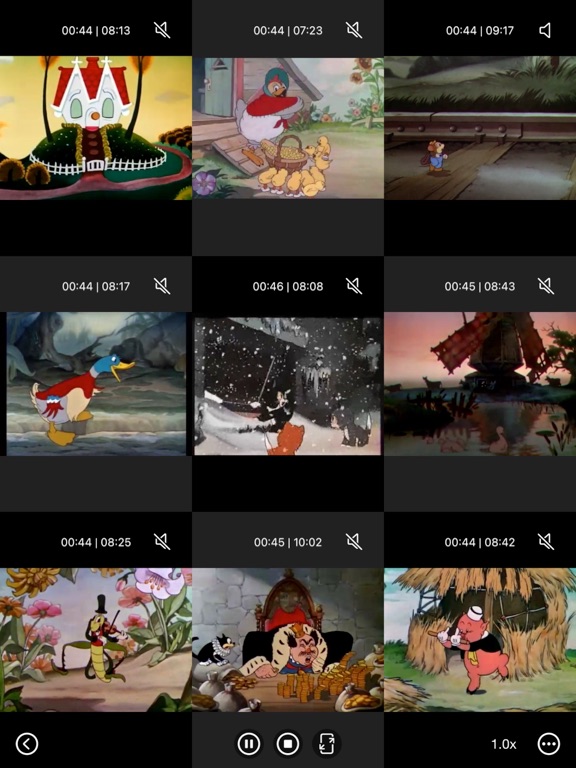 Multi_Video_Player_Plus iPadOS App Screenshot 6