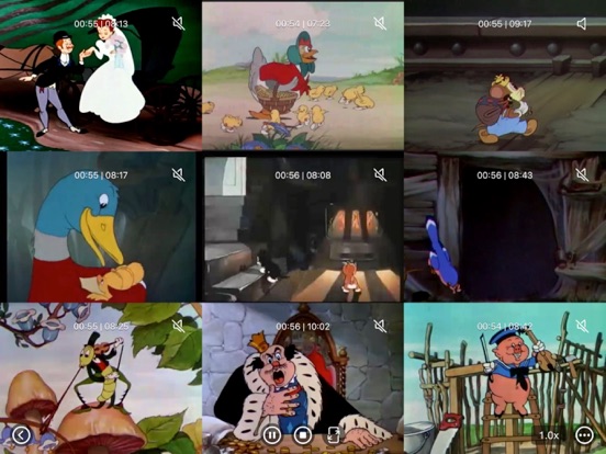 Multi_Video_Player_Plus iPadOS App Screenshot 9