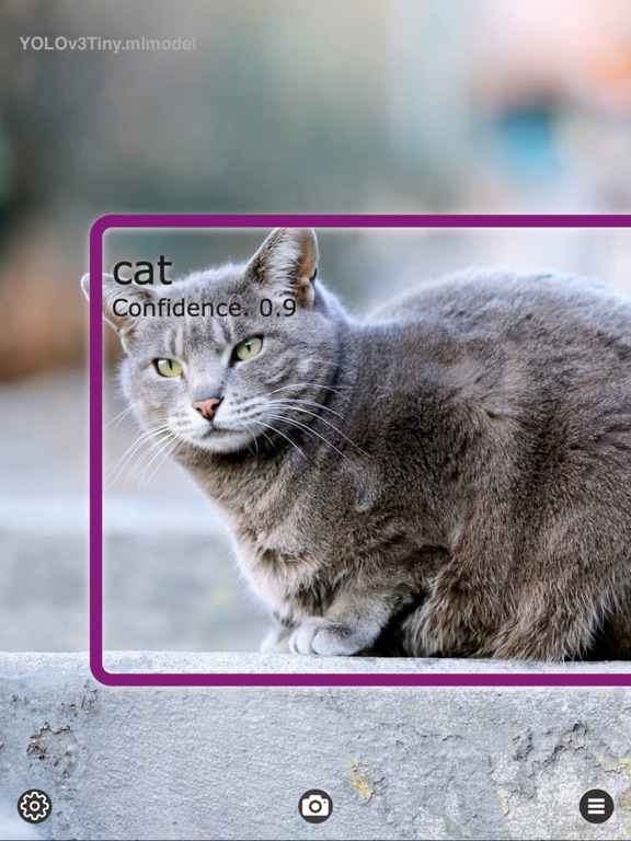Object_Detection_Cam iPadOS App Screenshot 2
