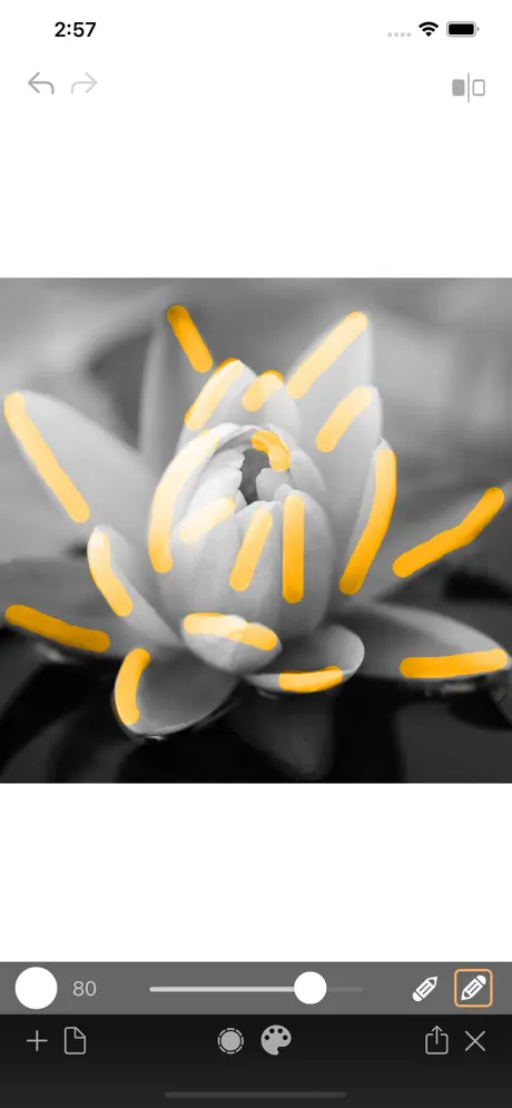 Photo_Color_Painter iOS App Screenshot 3
