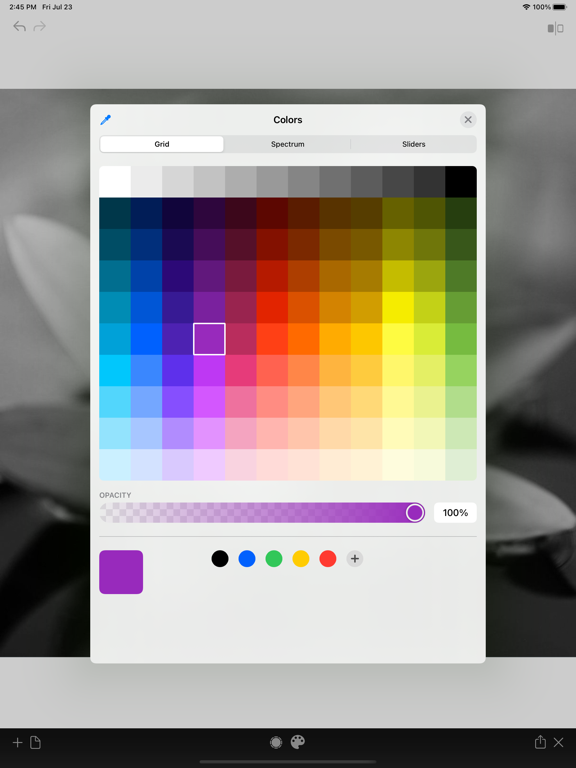Photo_Color_Painter iPadOS App Screenshot 9