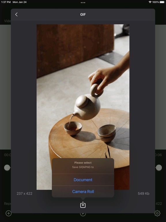 Video2Gif_Plus iPadOS App Screenshot 10