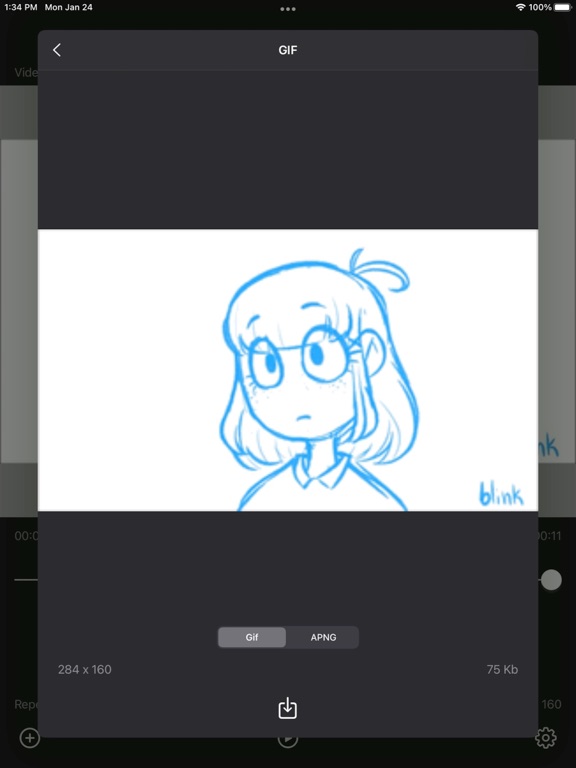 Video2Gif_Plus iPadOS App Screenshot 8