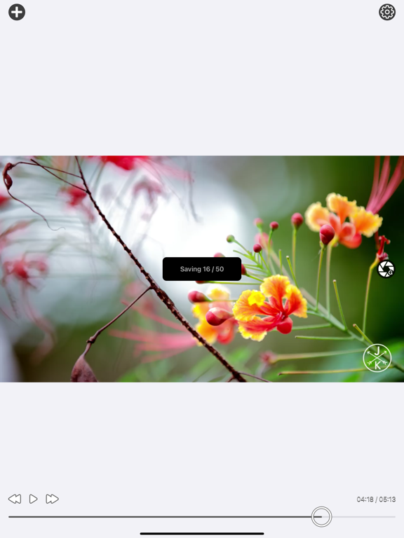Video_To_Photo_Plus iPadOS App Screenshot 3